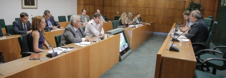 Comissão Nacional de Flores e Hortaliças da CNA define ações para 2019