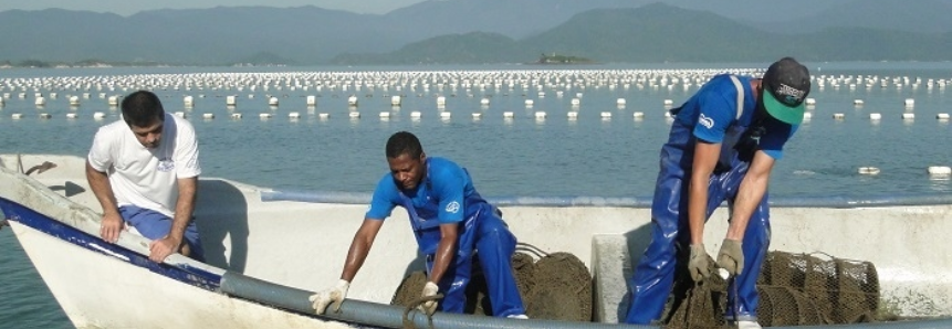CNA solicita liberação para importação de sementes de ostras