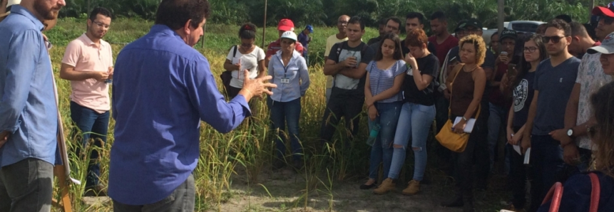 Dia de Campo destaca assistência técnica e gerencial empreendida pelo Senar no Estado