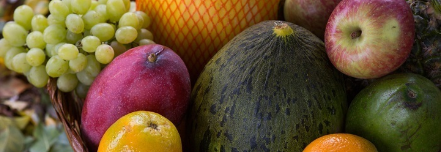 Produtores de frutas e hortaliças terão mais prazo para a rastreabilidade