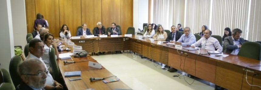 CNA participa de reunião da Câmara Setorial Produtiva do Mel e Produtos Apícolas