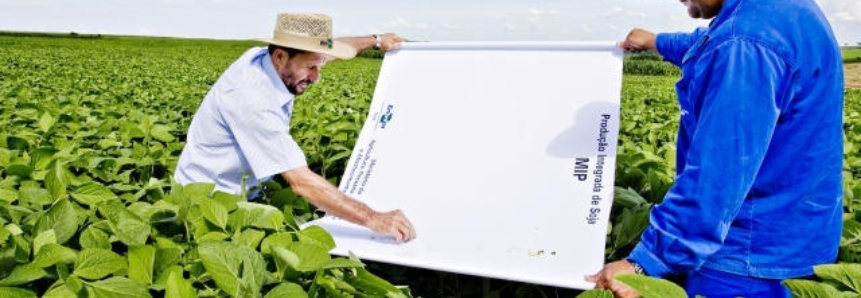 SENAR-PR divulga o curso “Manejo Integrado de Pragas” entre os produtores de soja do Paraná