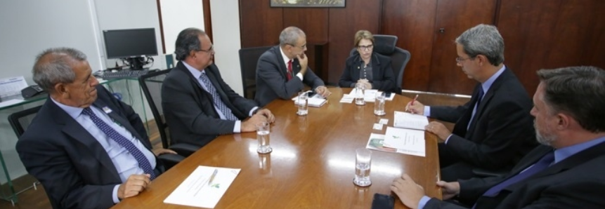 CNA discute demandas da borracha natural com ministra da Agricultura