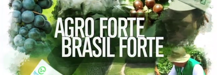 Agro Forte Brasil Forte - 10/02/2019
