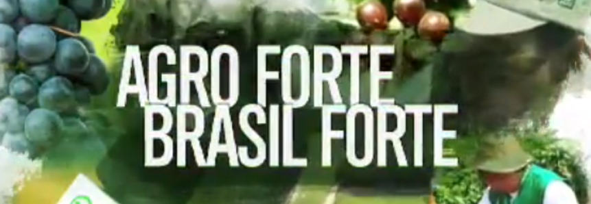 Confira o Programa Agro Forte Brasil Forte desse domingo, 16 de dezembro