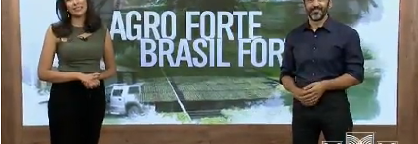 Confira o Programa Agro Forte Brasil Forte de 25 de novembro