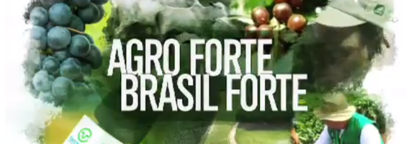 Confira o Agro Forte Brasil Forte deste domingo, 18 de Novembro