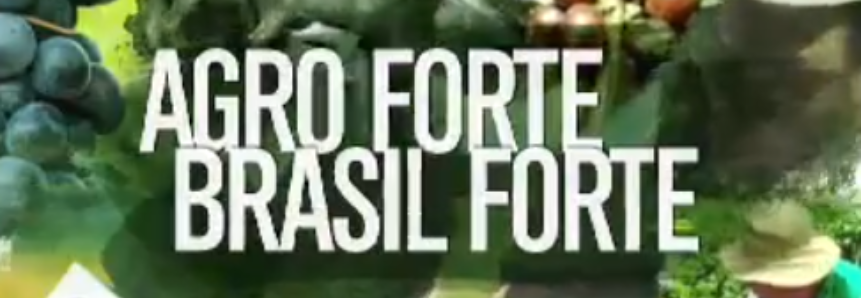 Confira o programa Agro Forte, Brasil Forte deste domingo (04 de novembro)