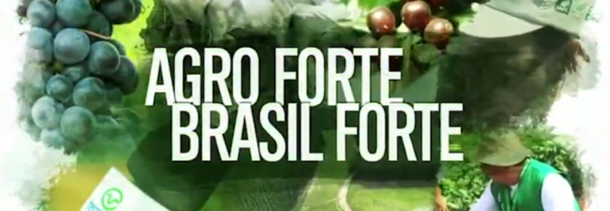 Controle dos custos de produção é tema de reportagem do Agro Forte Brasil Forte deste domingo, 7 de outubro
