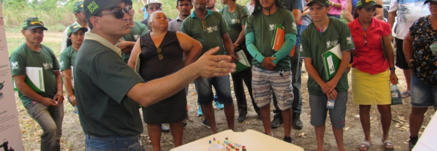 Dia de campo na comunidade Andiroba destaca assistência técnica do Senar