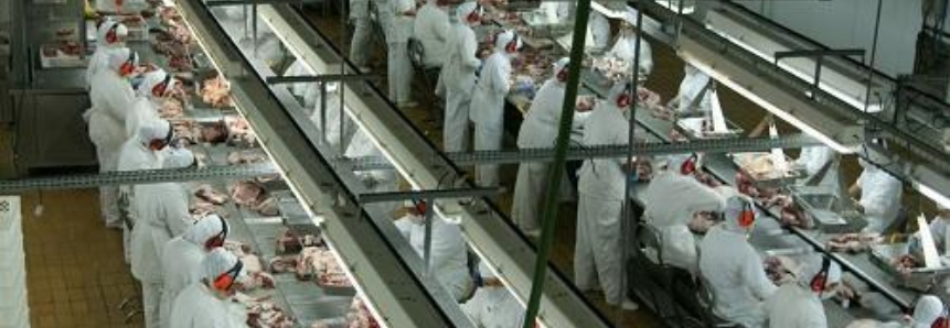 Santa Catarina comemora abertura do mercado indiano para a carne suína