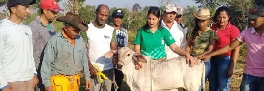 Trabalhadores rurais buscam qualificação no curso de Vaqueiro