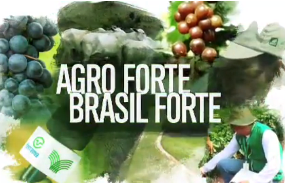 Confira o Programa Agro Forte Brasil Forte desse domingo, 16 de dezembro