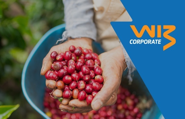 Bem+Agro oferece descontos em seguro agrícola, residencial e automotivo