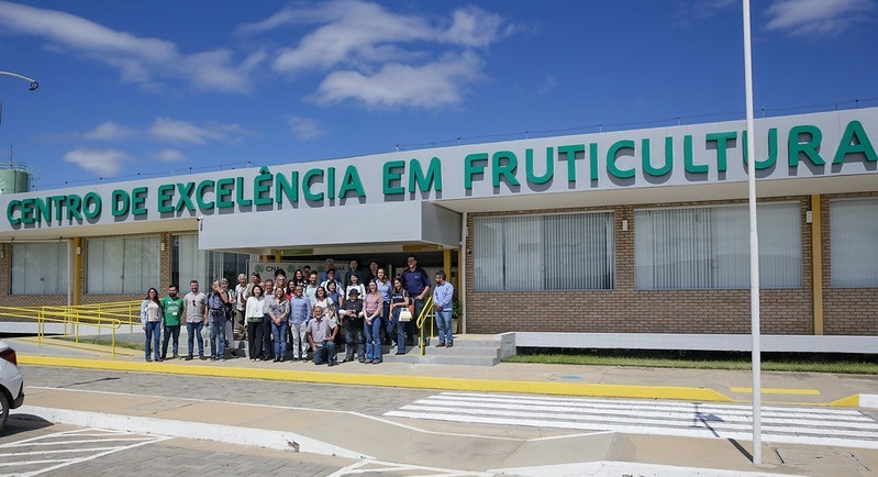 CNA leva imprensa para conhecer produção sustentável de frutas no vale do São Francisco