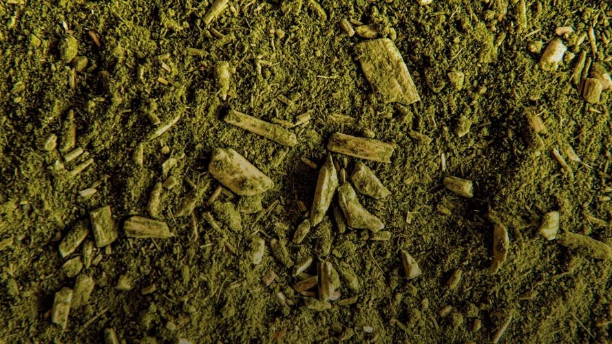 Senar-PR busca instrutores para área de erva-mate