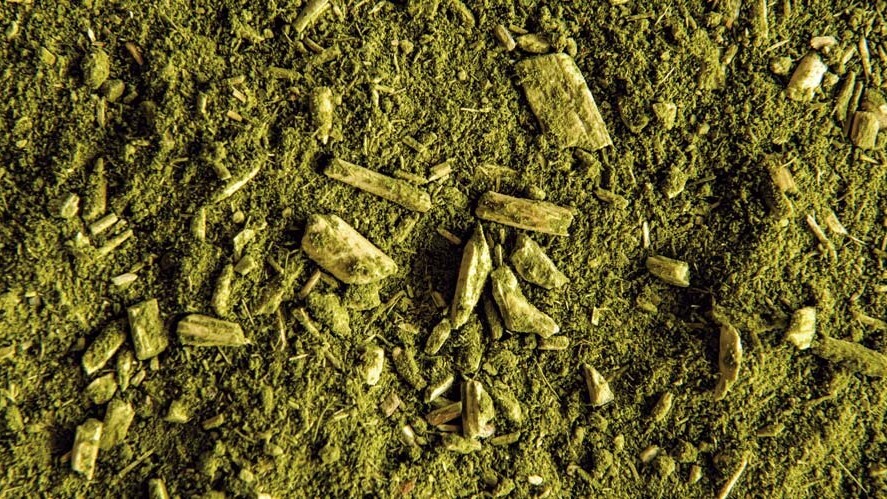 Novos cursos inserem mais tecnologia no cultivo da erva-mate