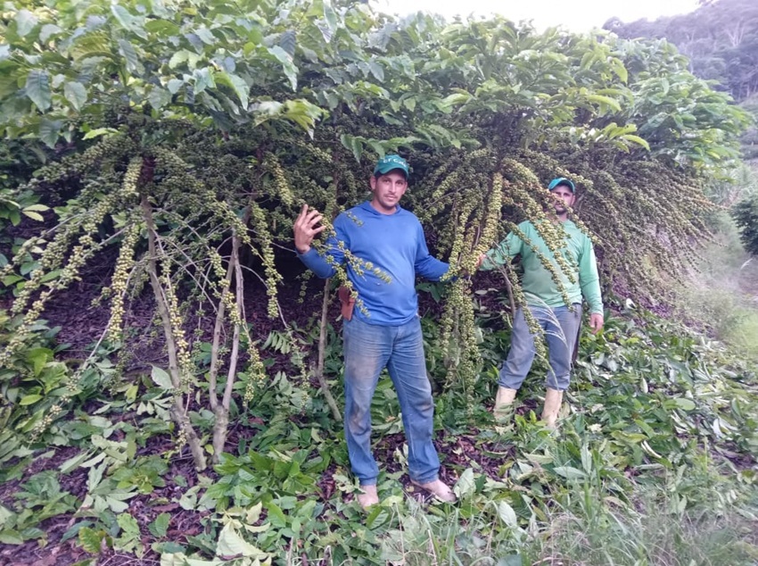 Irmãos ingressaram juntos  no polo de Rio Bananal, no Espírito Santo.