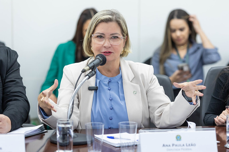 Deputada Ana Paula Leão