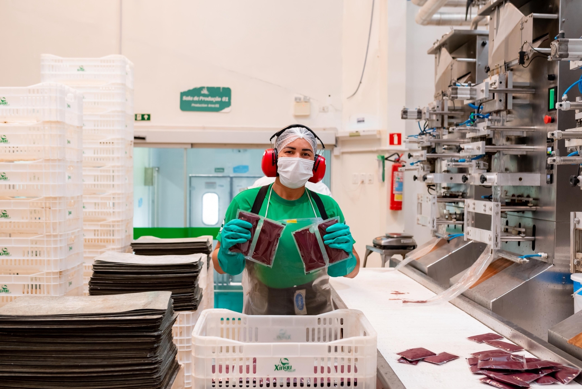 om o objetivo de alcançar o mercado internacional, eles iniciaram um processo de automatização e organização da fábrica Bona Fruit.