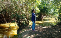 Cerrado no Maranhão – Água, vida e preservação