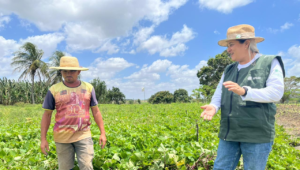 Sistema Faese/Senar celebra o Dia do produtor rural sergipano com programação especial e podcast comemorativo