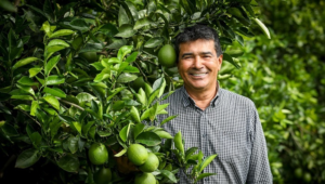 Dos alicerces de concreto às raízes dos pomares