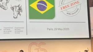 Status Internacional como livre de febre aftosa sem vacinação - Importância para Goiás