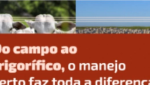 Senar Goiás lança curso sobre Manejo e Controle no Abate de Bovinos