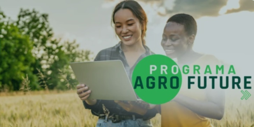 Captura de tela 2024 12 05 114118