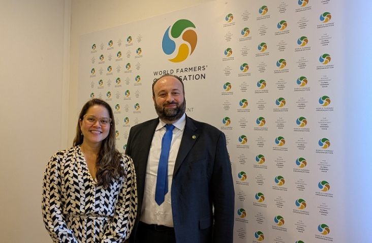 PXL 20250403 143812006 MP