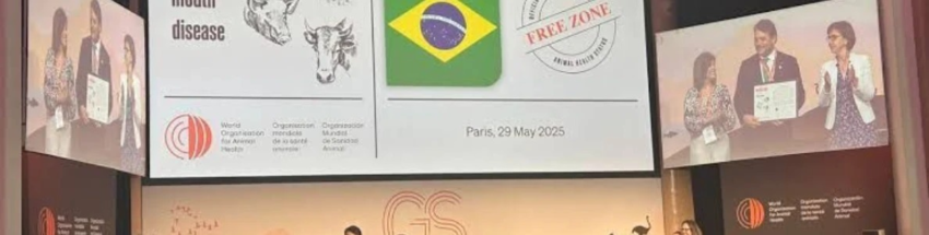 Whats App Image 2025 05 30 at 18 55 29