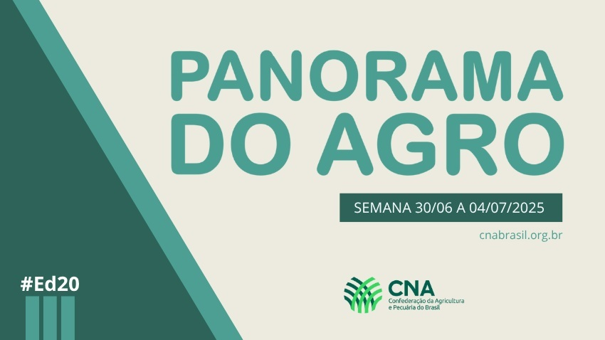 IMAGEM PA 30 DE JUNHO A 4 DE JULHO