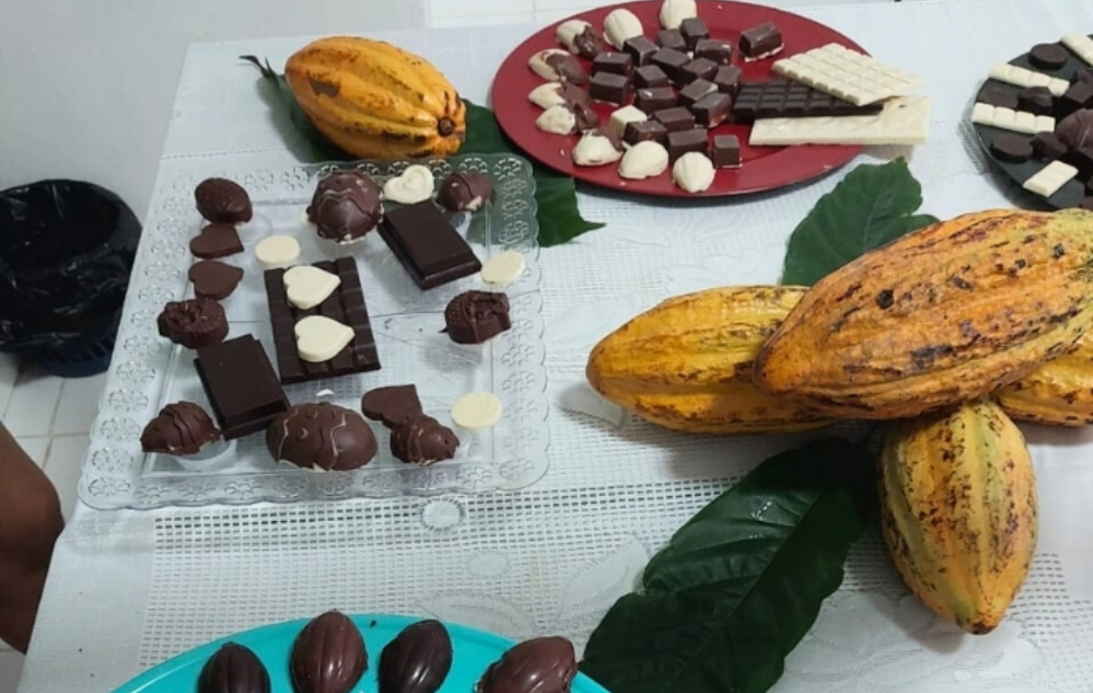 Foto de chocolate produzido pela turma. Faepa-PA