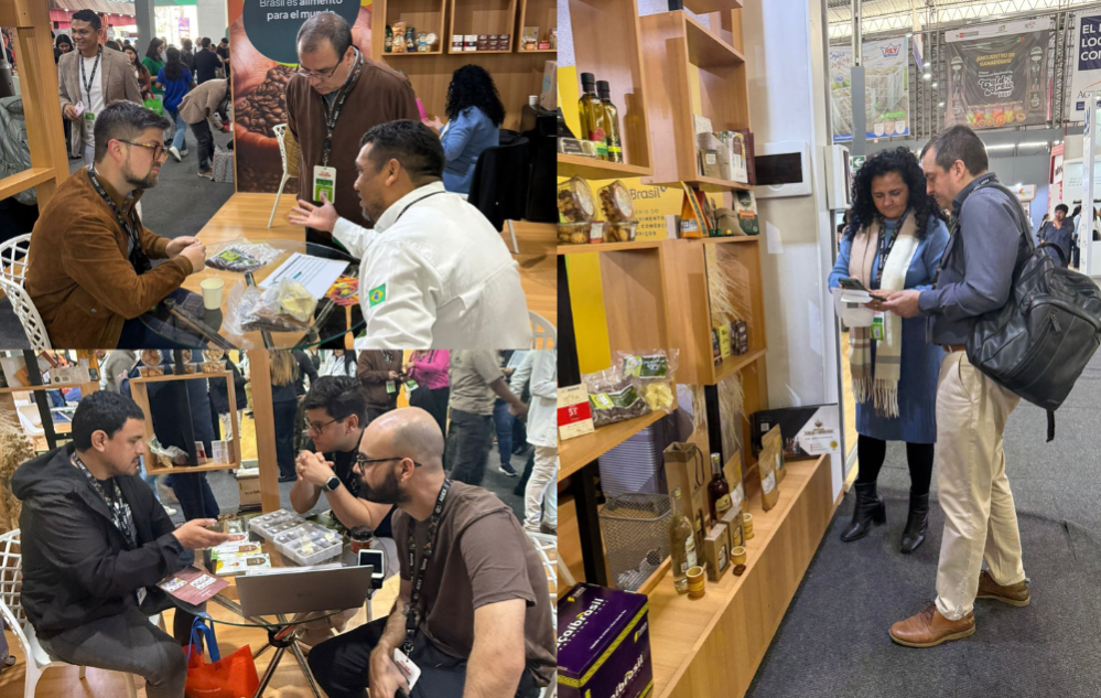 Rodadas de Negócios