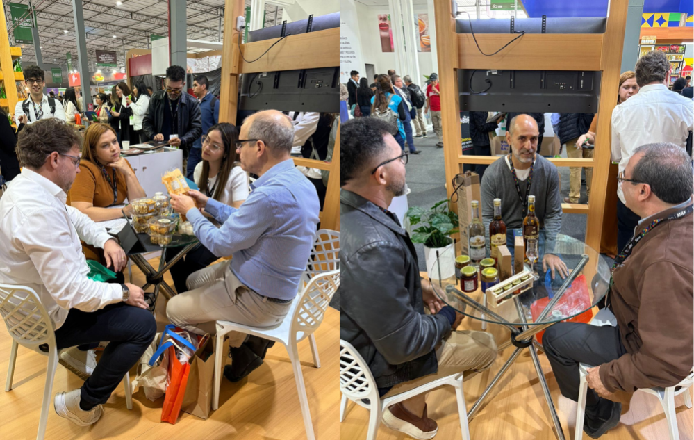 Rodadas de Negócios