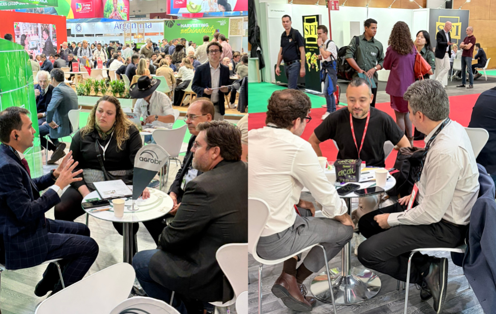 Rodadas de Negócios