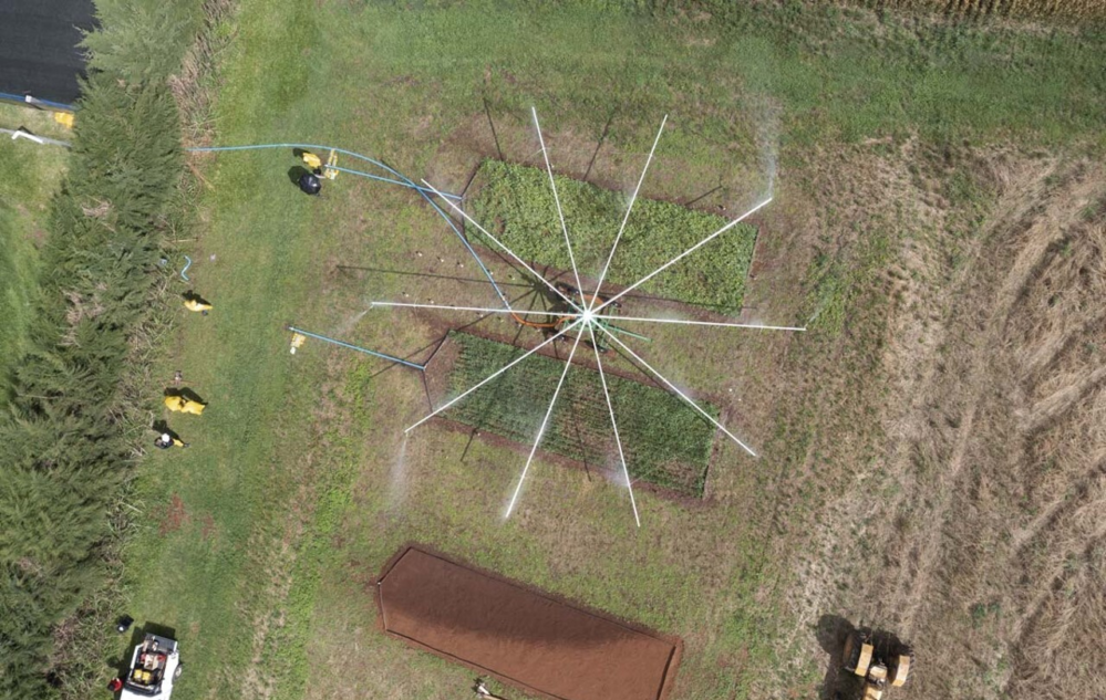 Imagens das pesquisas