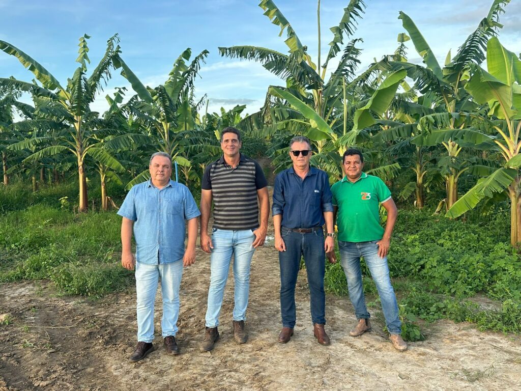 O começo de uma nova história no campo