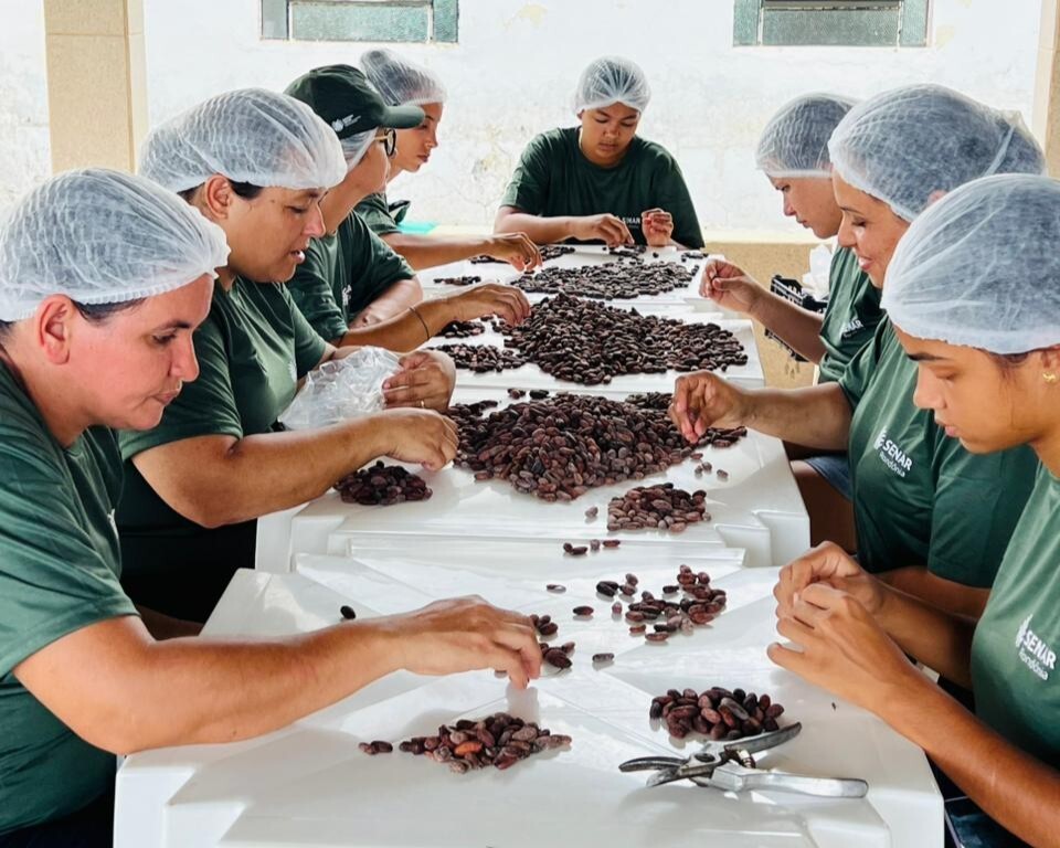 Sistema Faperon/Senar promove curso de produção de chocolate “bean to bar” em Ouro Preto do Oeste