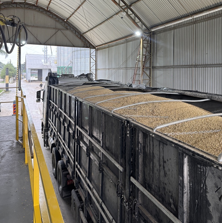 A iniciativa tem como objetivo reduzir a subjetividade na classificação de grãos e validar tecnologias que tragam mais precisão ao processo.