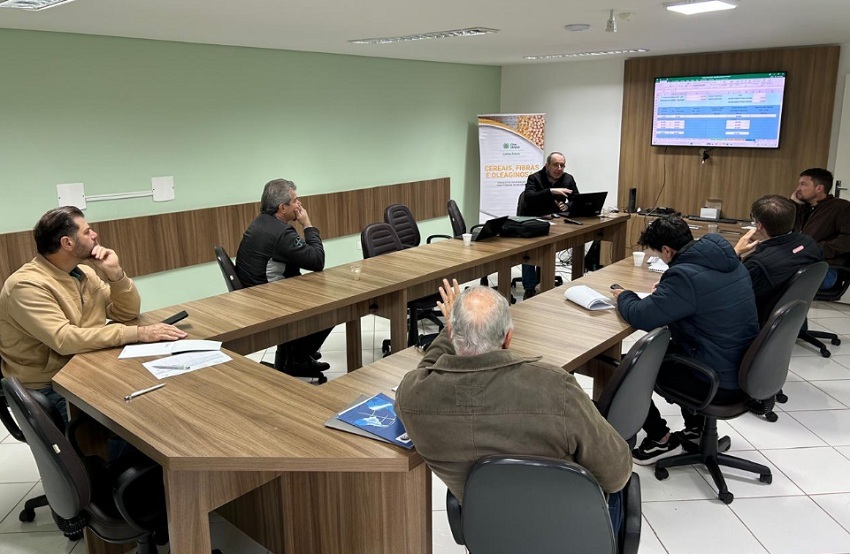 Painel de grãos em Cascavel