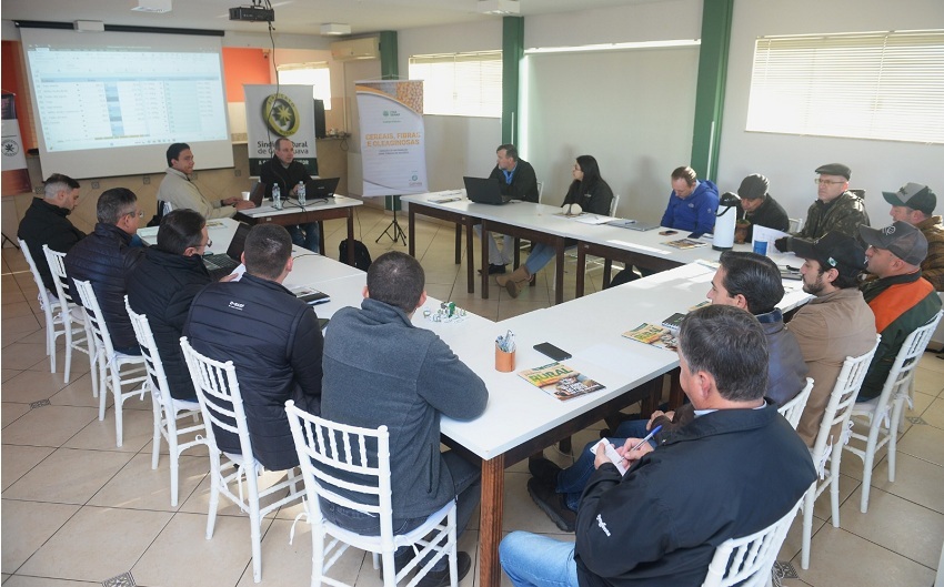 Painel de grãos em Guarapuava