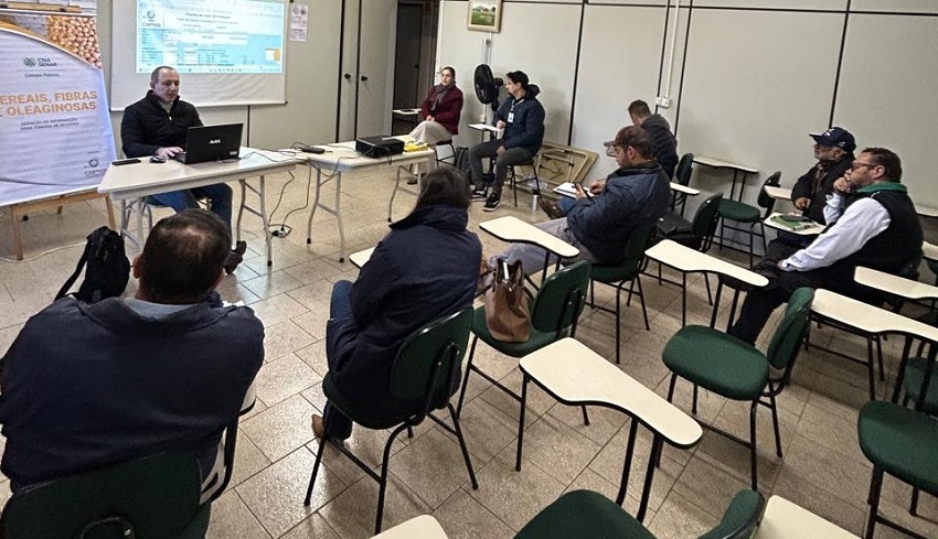 Painel de grãos em Tibagi