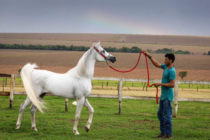 0a243c41 b59a 40ff 9ae3 1b16eb817c34