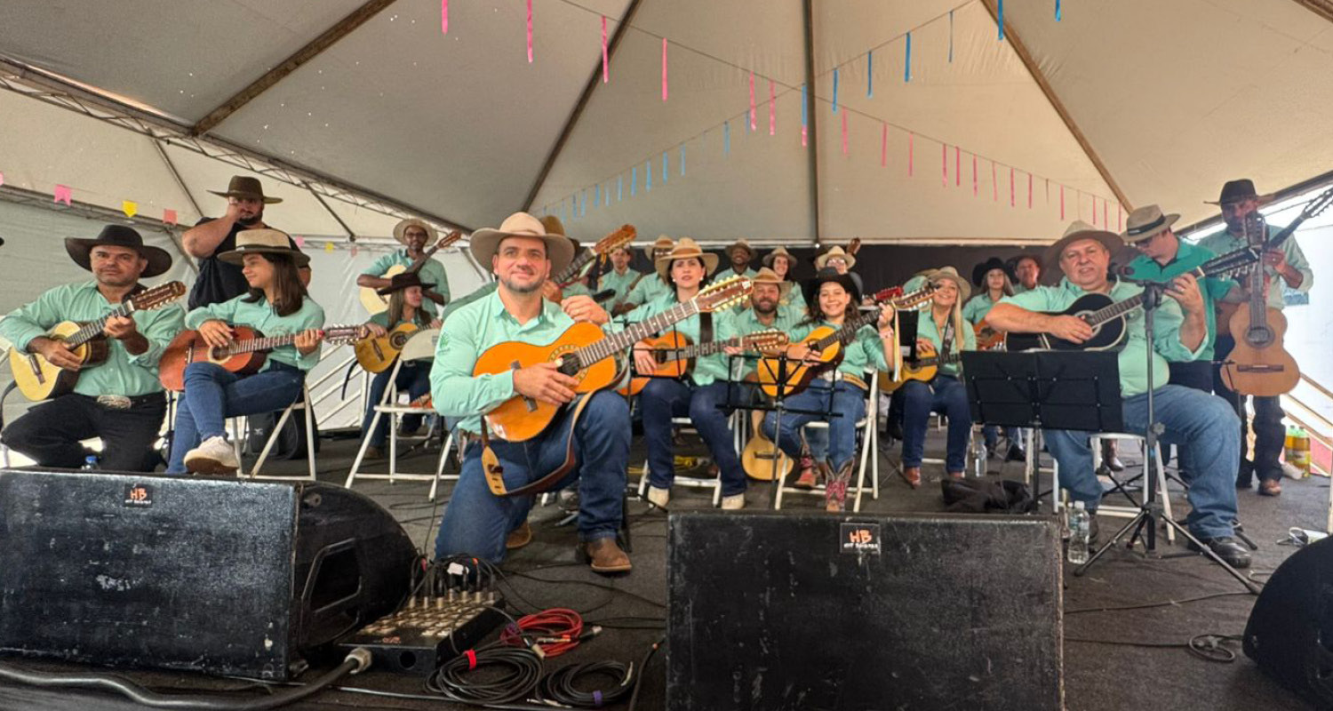 Orquestras de viola do Senar-SP se apresentam em festivais regionais