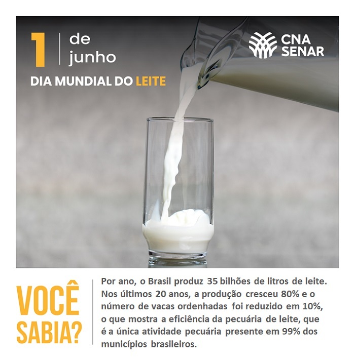 Dia Mundial do Leite - Produção nacional garante alimento completo para os brasileiros