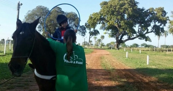 Prática terapêutica utiliza cavalo para incluir e transformar vidas