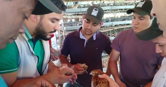 SENAR Minas realiza em Janaúba primeiro curso de criação de codornas do País