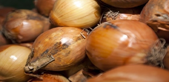 Brasil aumentou importação de cebola em outubro
